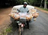 Cambodian Culture - Bread Salesman