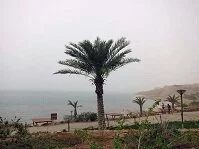 Jordanian Geography - Dead Sea