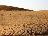 Emirati Geography - Desert