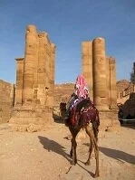 Jordanian Culture - Bedu on a Camel in Petra