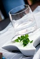 Albanian Food - Tzatziki & rakia