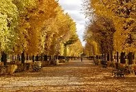 Austrian Geography - Prater Park in Vienna