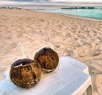 Bahamian Food - Coconut drink