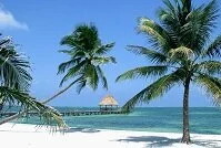 Belizean Geography - Beach