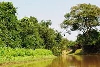 Bolivian Geography - Yacuma River