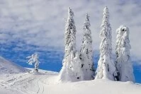 Bosnian Geography - Jahorina Mountains