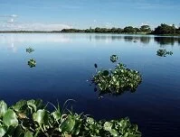 Brazilian Geography - Amazon River