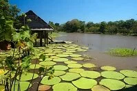 Colombian Architecture - House on the Amazon