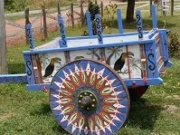 Costa Rican Culture - Ox cart