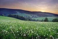 Czech Geography - Landscape