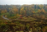 Estonian Geography - River in the hills