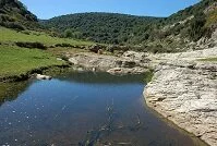 Israeli Geography - River in Rosh Pinna