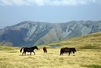 Macedonian Geography - Mountains