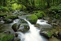 New Zealand Geography - River