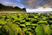 Norwegian Geography - Rocks along the coast