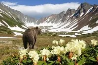 Russian Geography - Kamchatka Peninsula