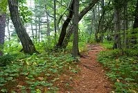 Russian Geography - Lazovsky Nature Reserve