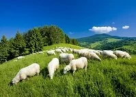 Slovak Geography - Mountains