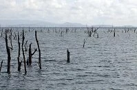 Surinamese Geography - Lake Afobaka