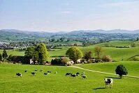 British Geography - English countryside