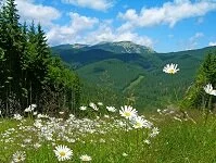 Ukrainian Geography - Carpathian Mountains