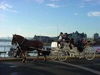 Canadian Culture - Carriage in Victoria